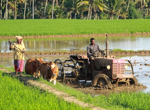 Soil preparation
